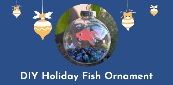Fish Learning Fridays | DIY Fish Holiday Ornament