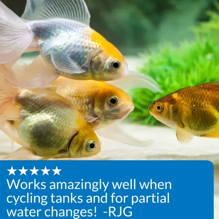 alxogmoq0v37pyf5fp4y.png