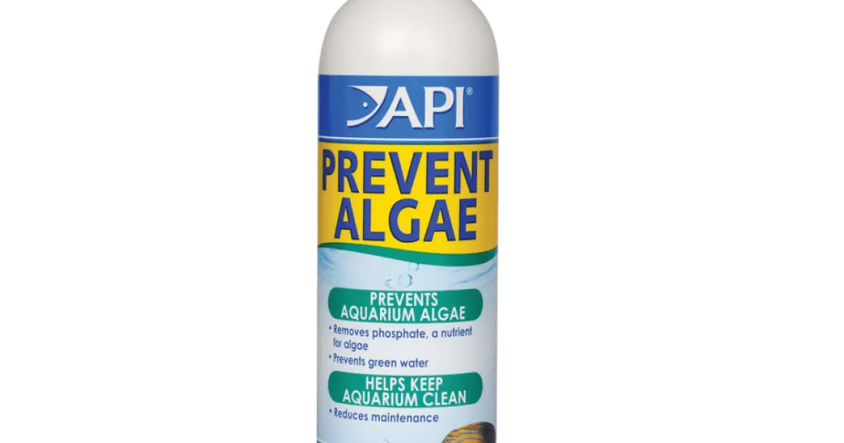 API PREVENT ALGAE | API Fishcare