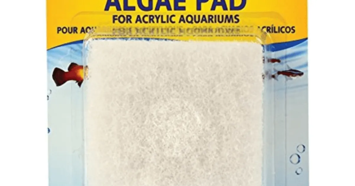 API ALGAE PAD-ACRYLIC | API Fishcare
